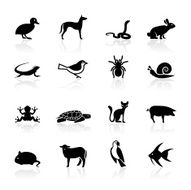 Black Symbols - Pets