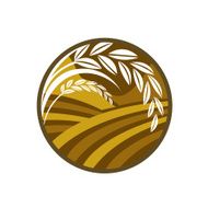 Rice Vector N2