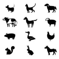 Farm Animal Icon Set N3