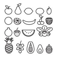 Fruits and berries in line art style