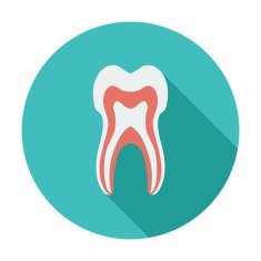 Tooth Icon N4