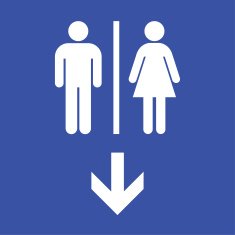 Toilet flat icon and arrow Vector illustration eps10