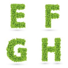 Letters of green leaves collection