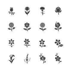 Flower Icons for Pattern N2
