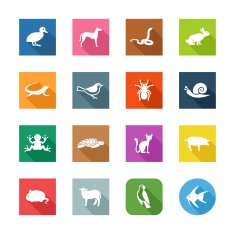 Flat Icons - Pets