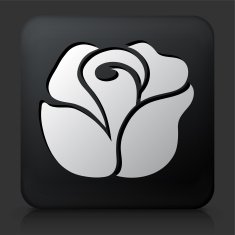 Black Square Button with Rose Icon