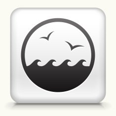 White Square Button with Waves and Birds