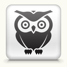 Square Button with Owl N2