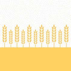 Wheat plantation - VECTOR