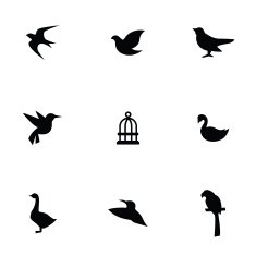 birds icons set