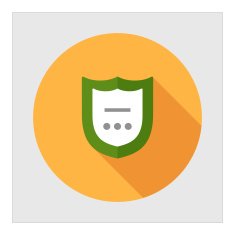 Shield Icon N5
