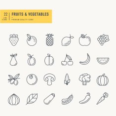 Thin Line Icons set N19