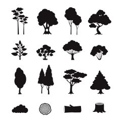 Forest Elements Black