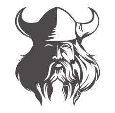 Viking N6