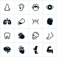 Black Human Anatomy Icons