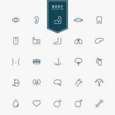 25 human body minimal line icons