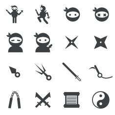 ninja icon