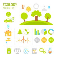 Ecology and organic infographics in flat style