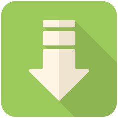 Download Icon N9