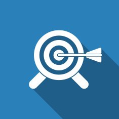 Target Icon N11