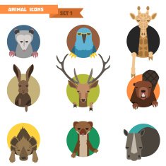 Animal avatars Vector Illustration