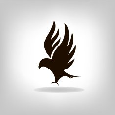 Black eagle with outstretched wings