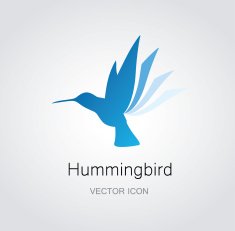 Hummingbird symbol