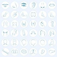 body parts five senses