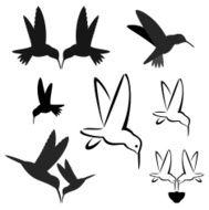 Hummingbird N5