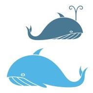 Whale N14