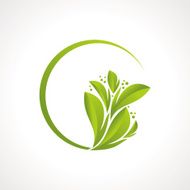 creative leaf design vector
