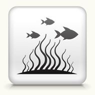 Square Button with Marine Animals