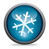 Snowflake N8