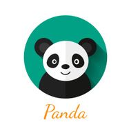 Panda portrait