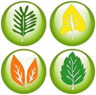 Eco Friendly Icons ( Vector )