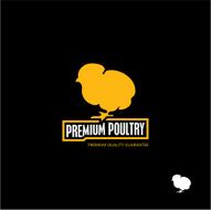 Chick Chicken Poultry