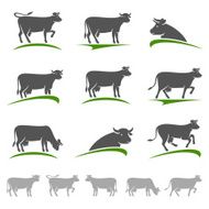 Cow set Vector