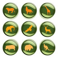 Wild Animal Badges
