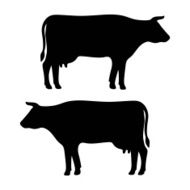 Cow Silhouette N5