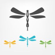 Dragonfly N6