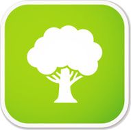 tree sq sticker