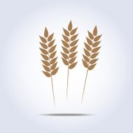 Wheat icon Vector illustration