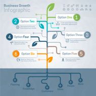 Business Growth Infographic