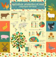 Agriculture animal husbandry infographics Vector illustrations N3