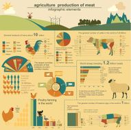 Agriculture animal husbandry infographics Vector illustrations N4