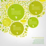 Leaf infographic N2