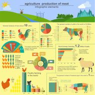 Agriculture animal husbandry infographics Vector illustrations N6