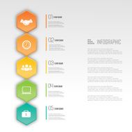 Business infographic design N15