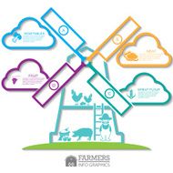Infographic elements Farm N2