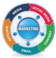 Marketing Infographic
